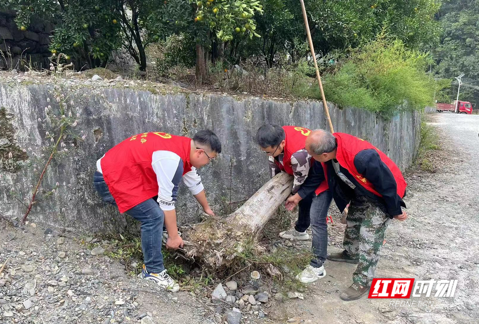 图片3.jpg 图片3.jpg